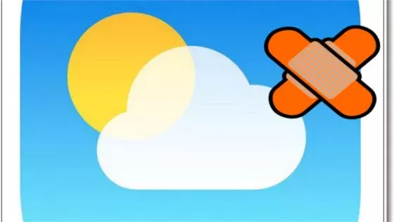 Default image
