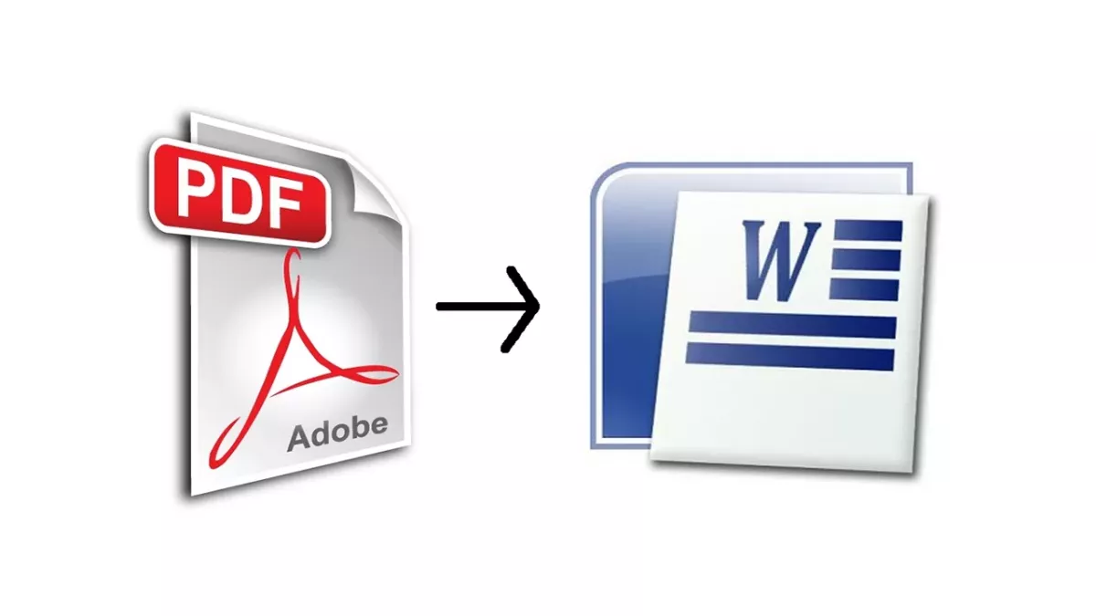 PDF WORD
