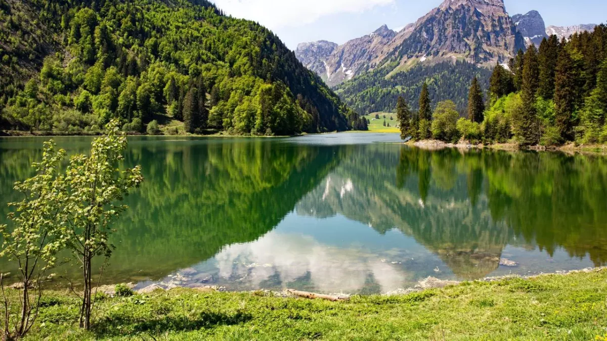 Photo d'un paysage prise avec un Smartphone et retravaillée en post-production.