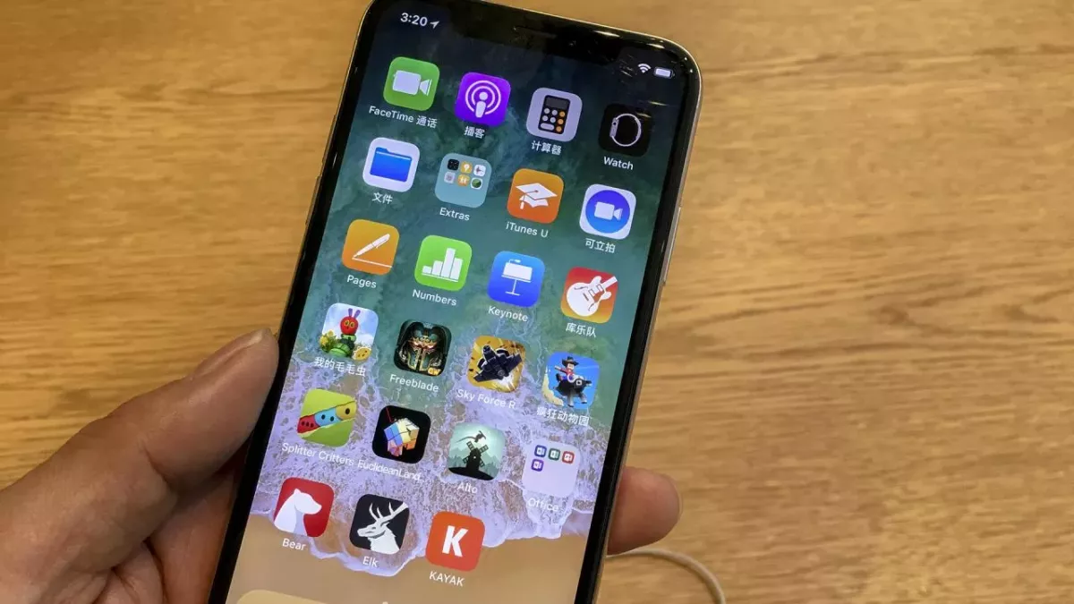 iPhone X