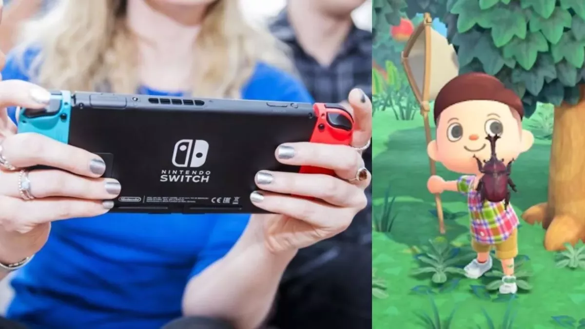 Animal Crossing New Horizons insectes