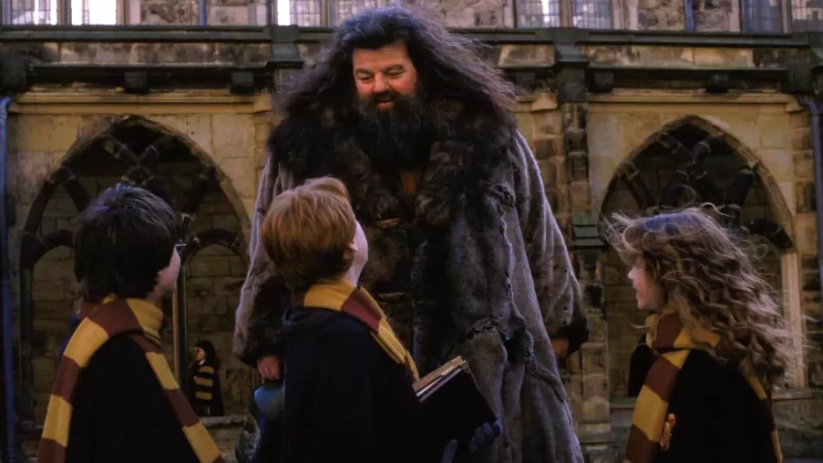 Hagrid dans Harry Potter