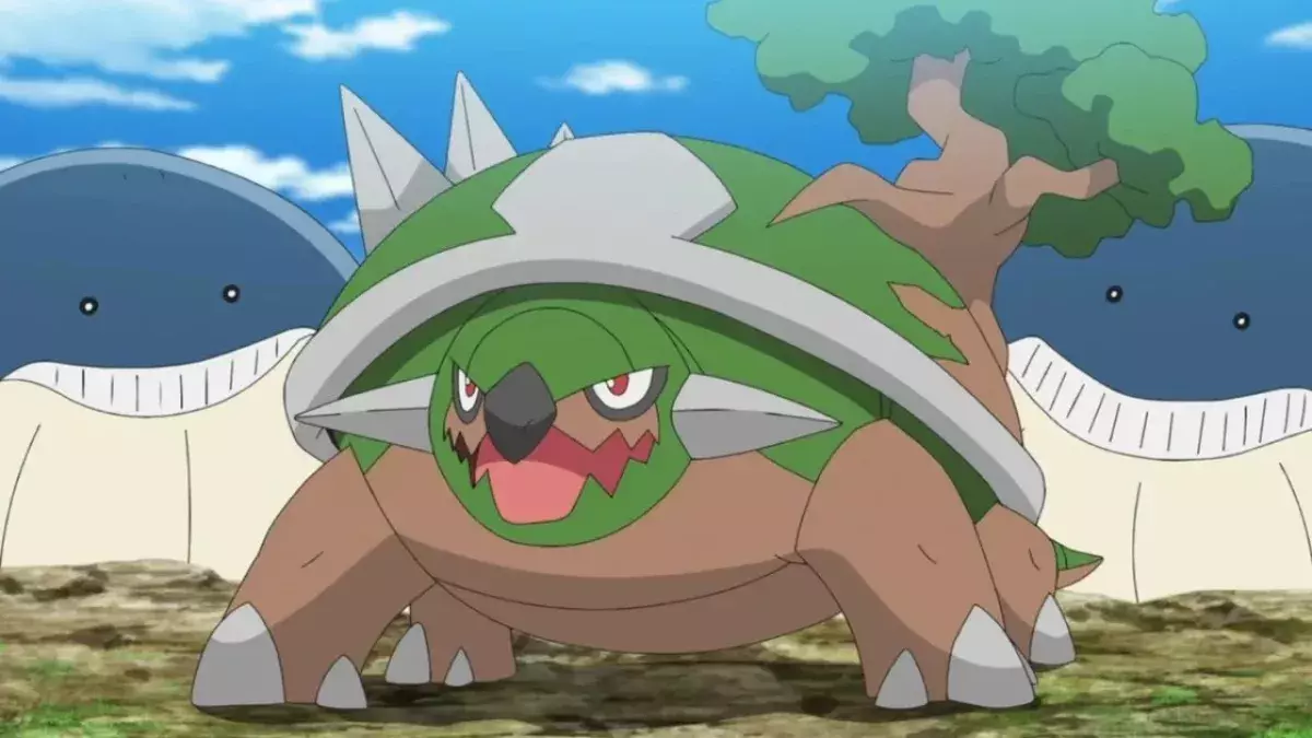 Pokémon tortues