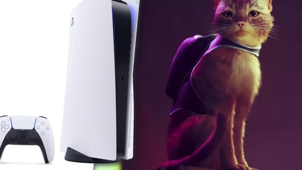 PS5 jeu stray chat exclu