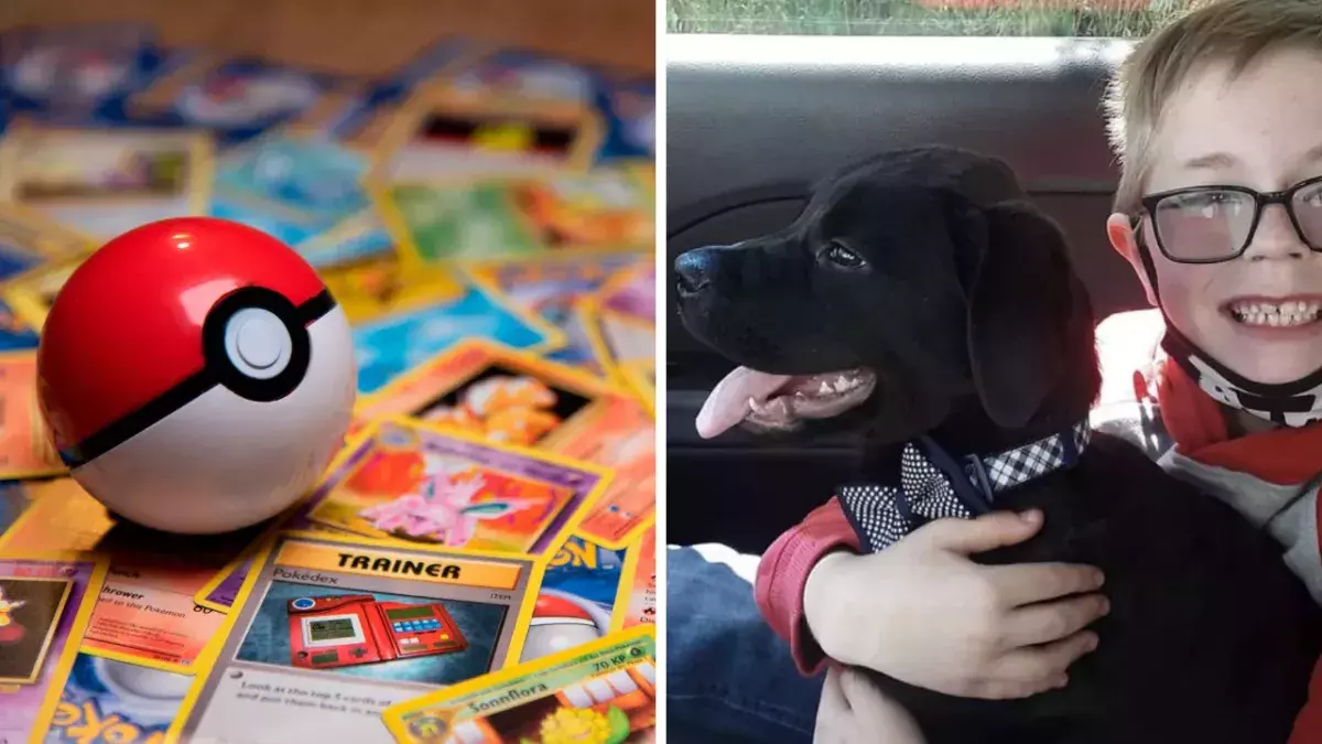 Un enfant vend ses cartes Pokémon pour sauver son chien, Pokémon Company lui fait un beau cadeau