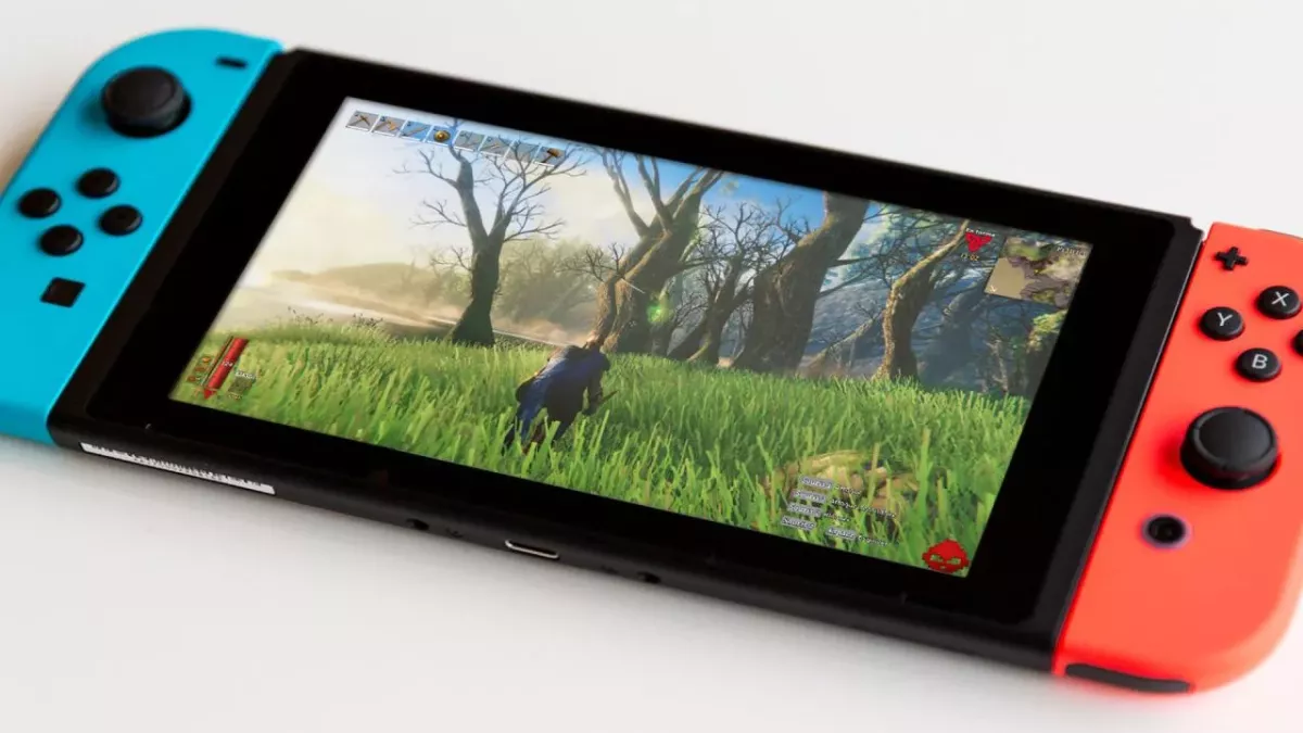 Valheim Switch