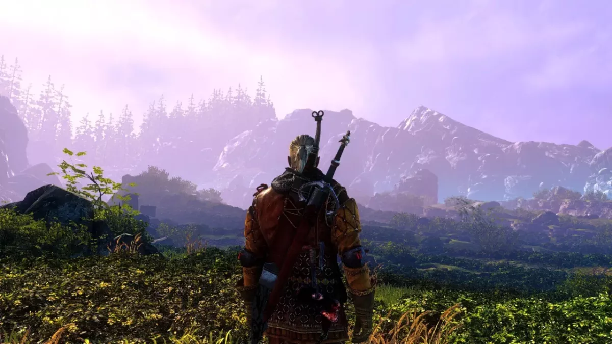 The Witcher 2