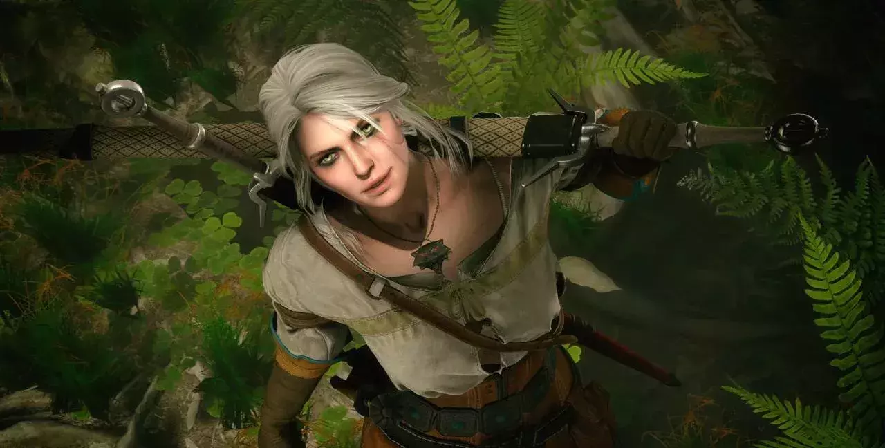 the witcher 3