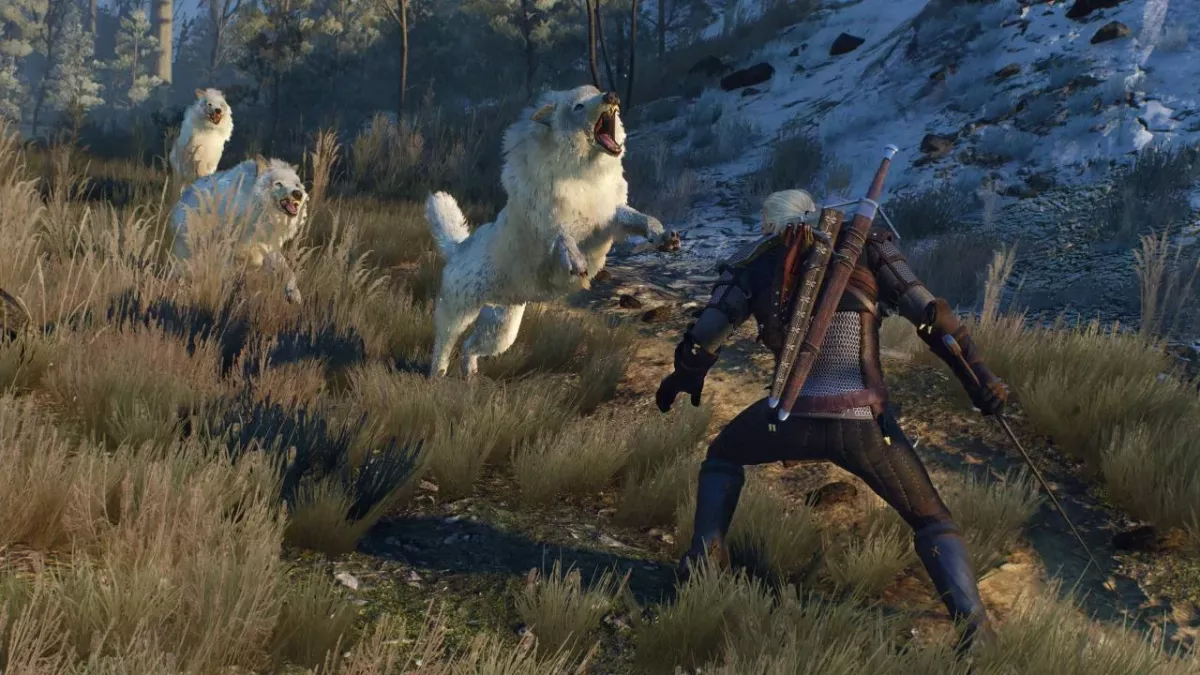 the witcher 3