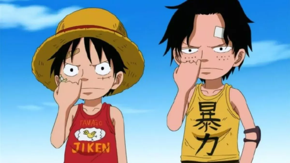 Luffy et Ace