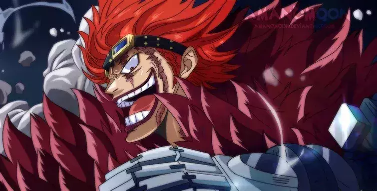 One piece Eustass Kidd