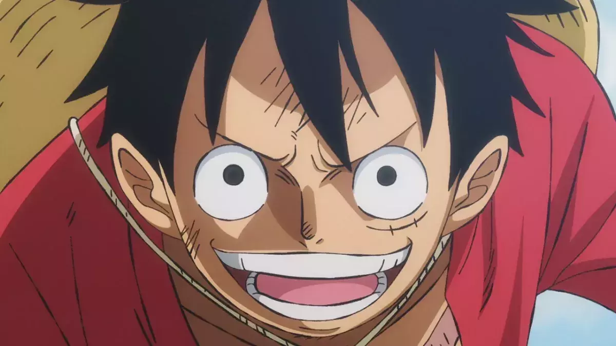One Piece plus long combat
