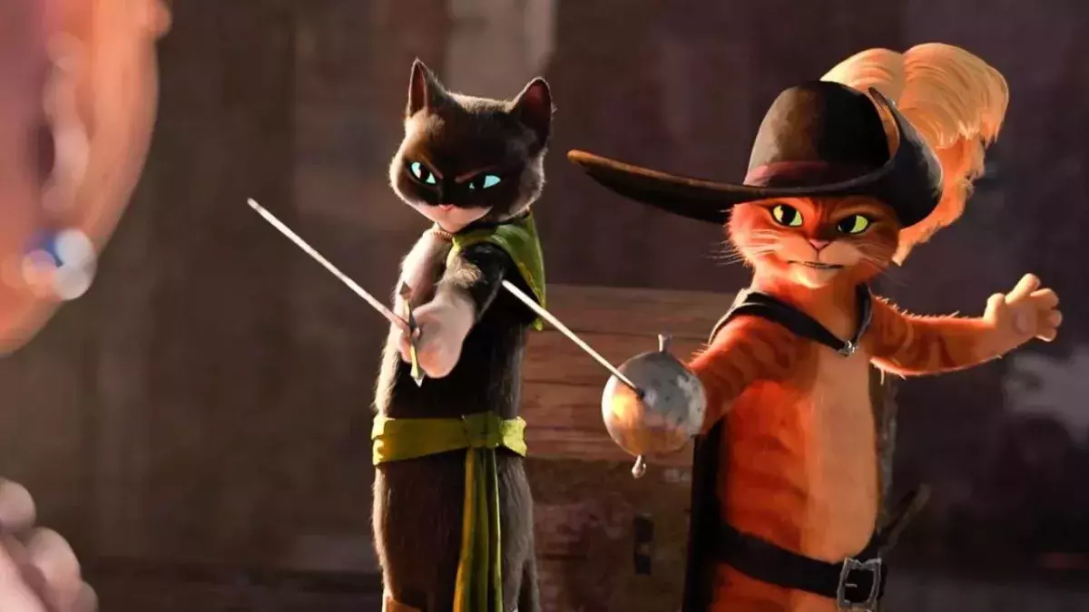 Chat Potté 3
