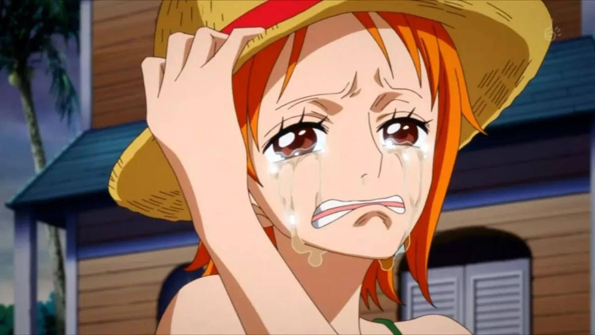 fin one piece eiichiro oda
