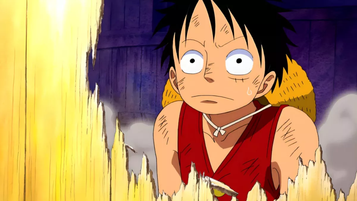 français arrêté japon leak one piece