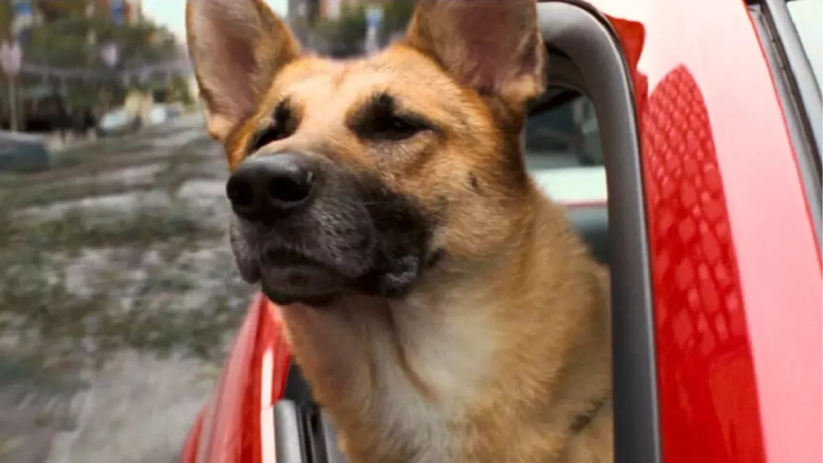 chien meilleur jeu vidéo speedrun