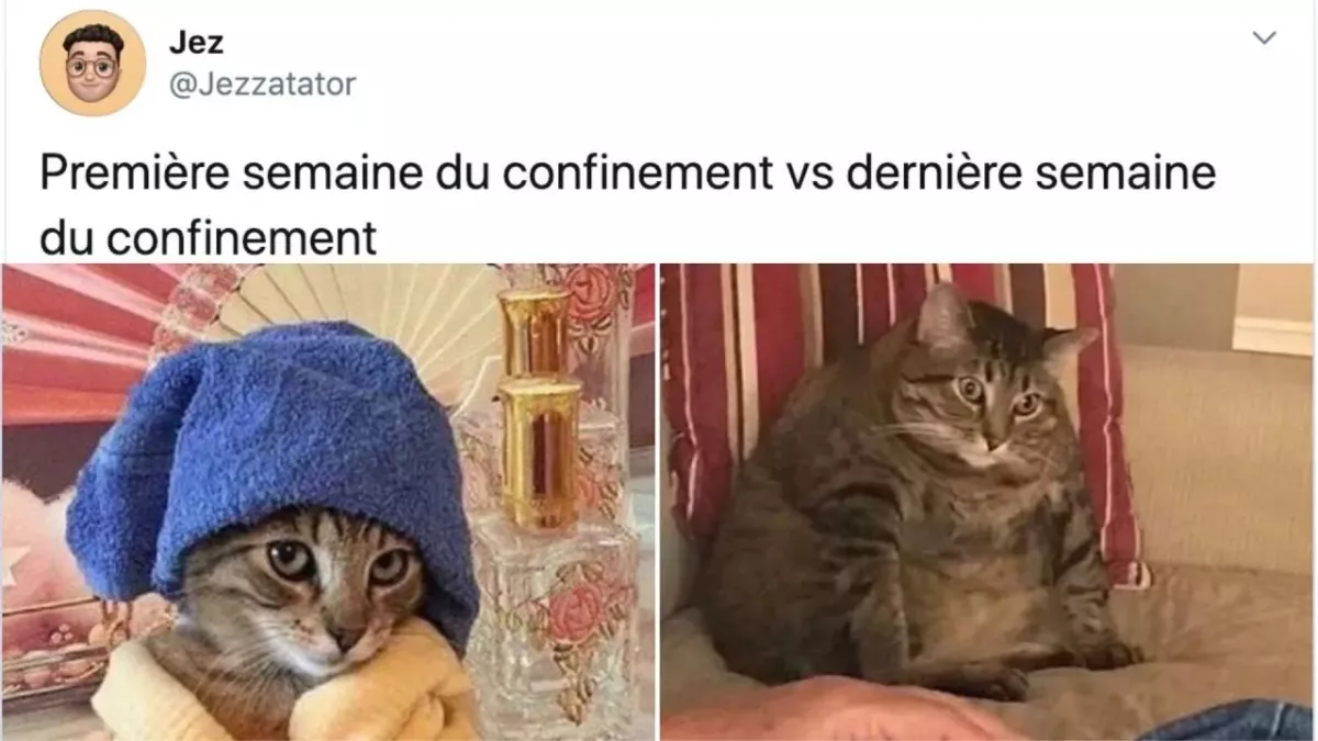 Meilleurs tweets confinement