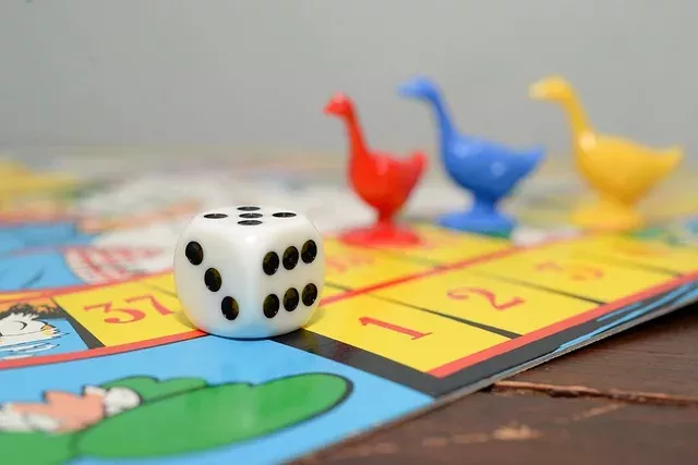 Règles jeu de l'oie 