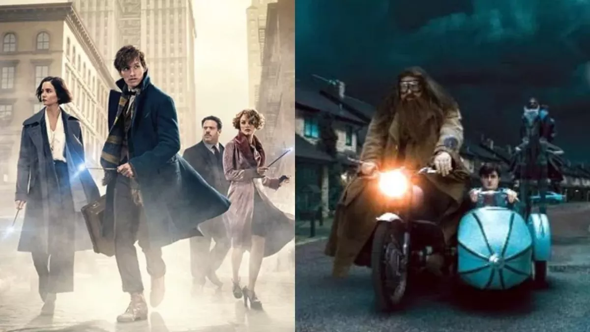 Les Animaux Fantastiques Dan Fogler Harry Potter