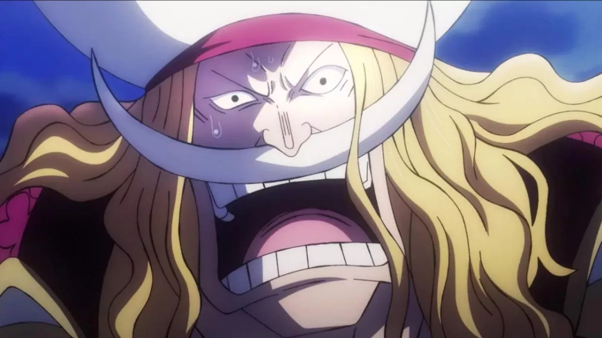 One piece Barbe Blanche