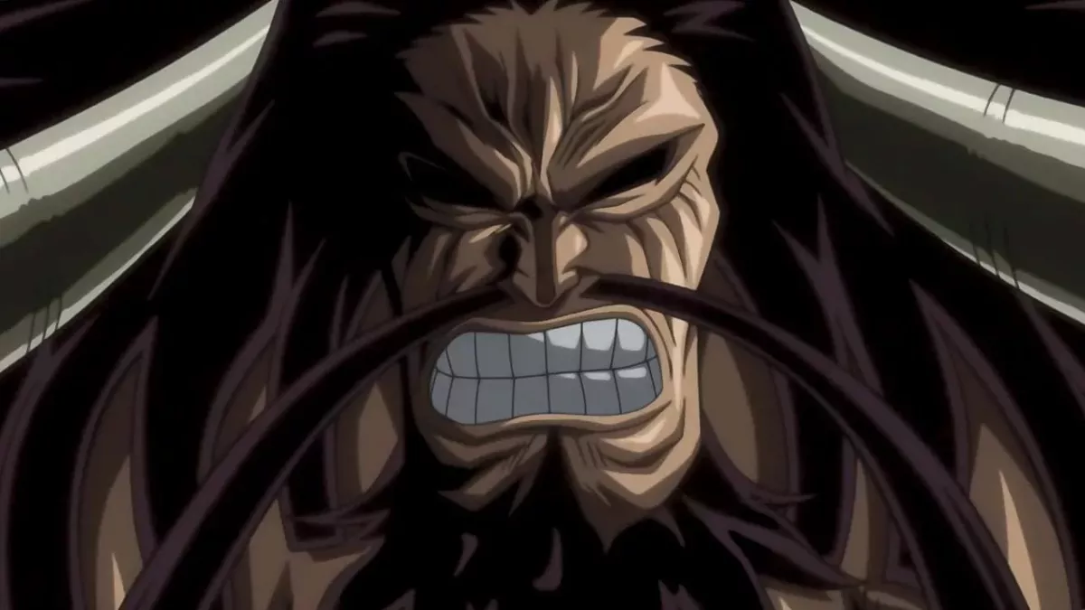 One piece Kaido