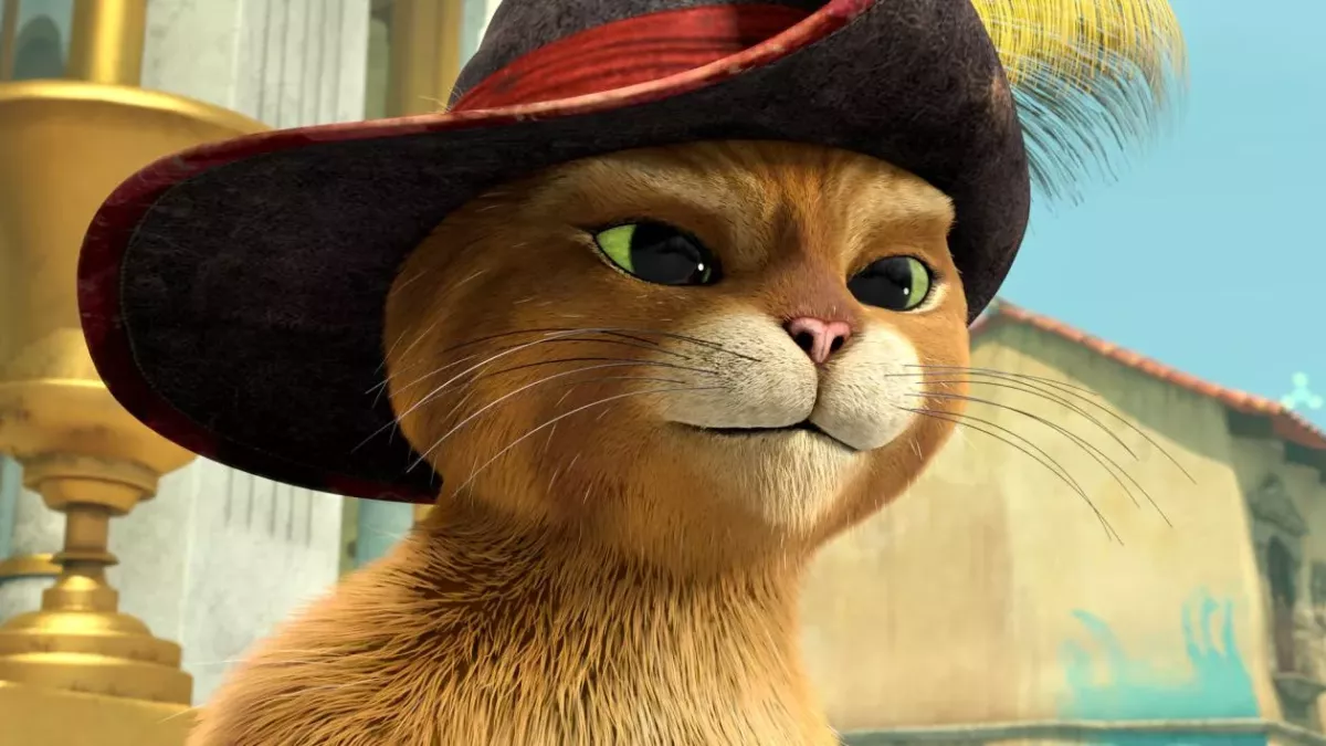 Chat potté
