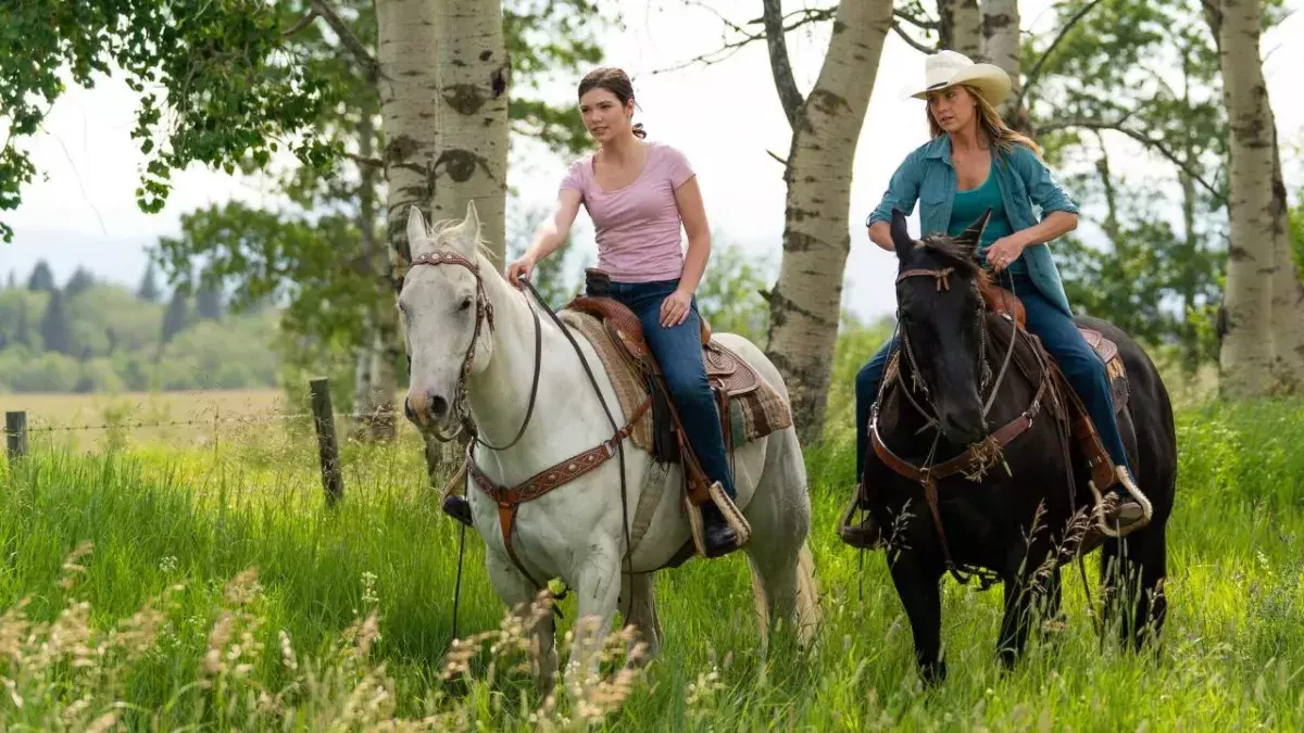 heartland saison 19
