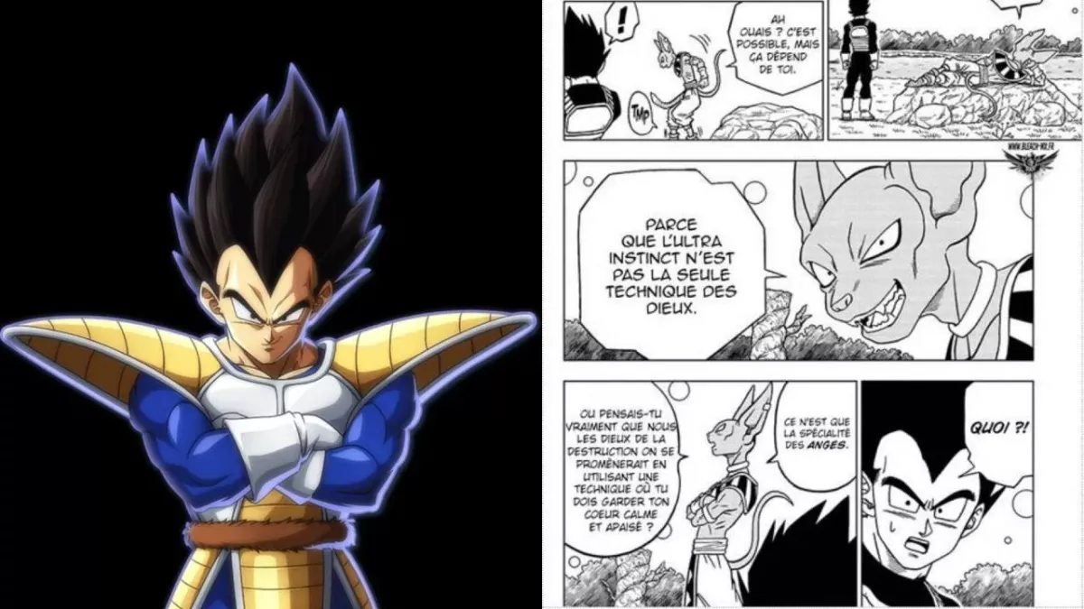 Dragon Ball Super Vegeta transformation