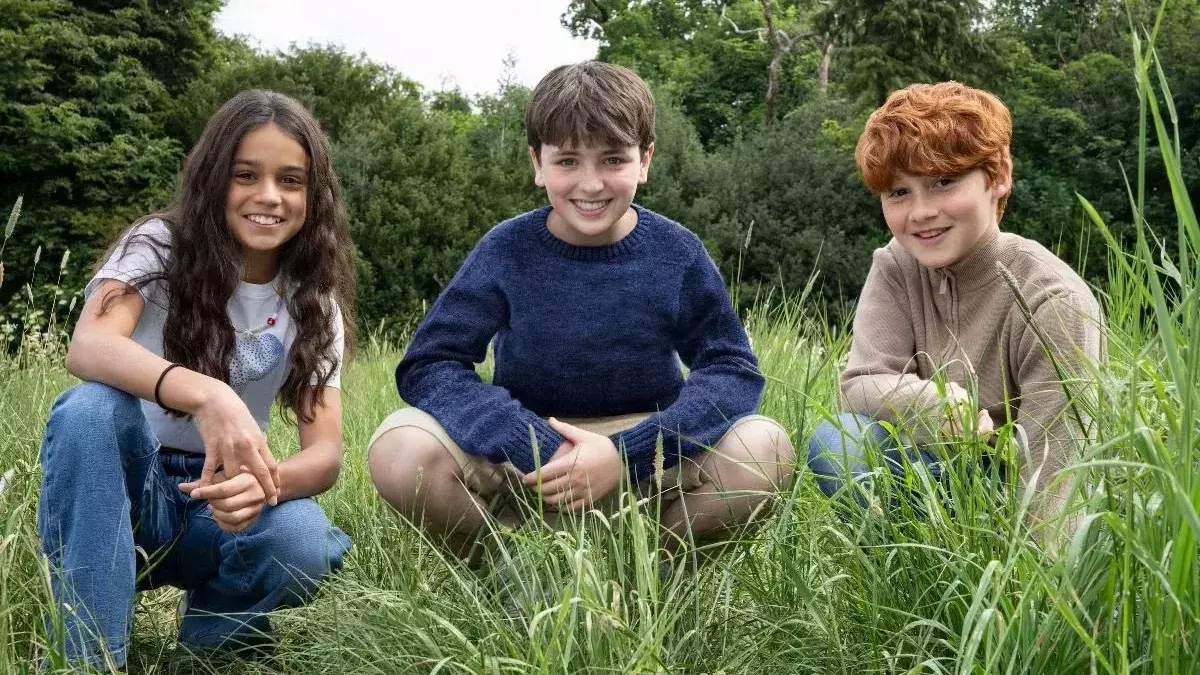 harry potter série