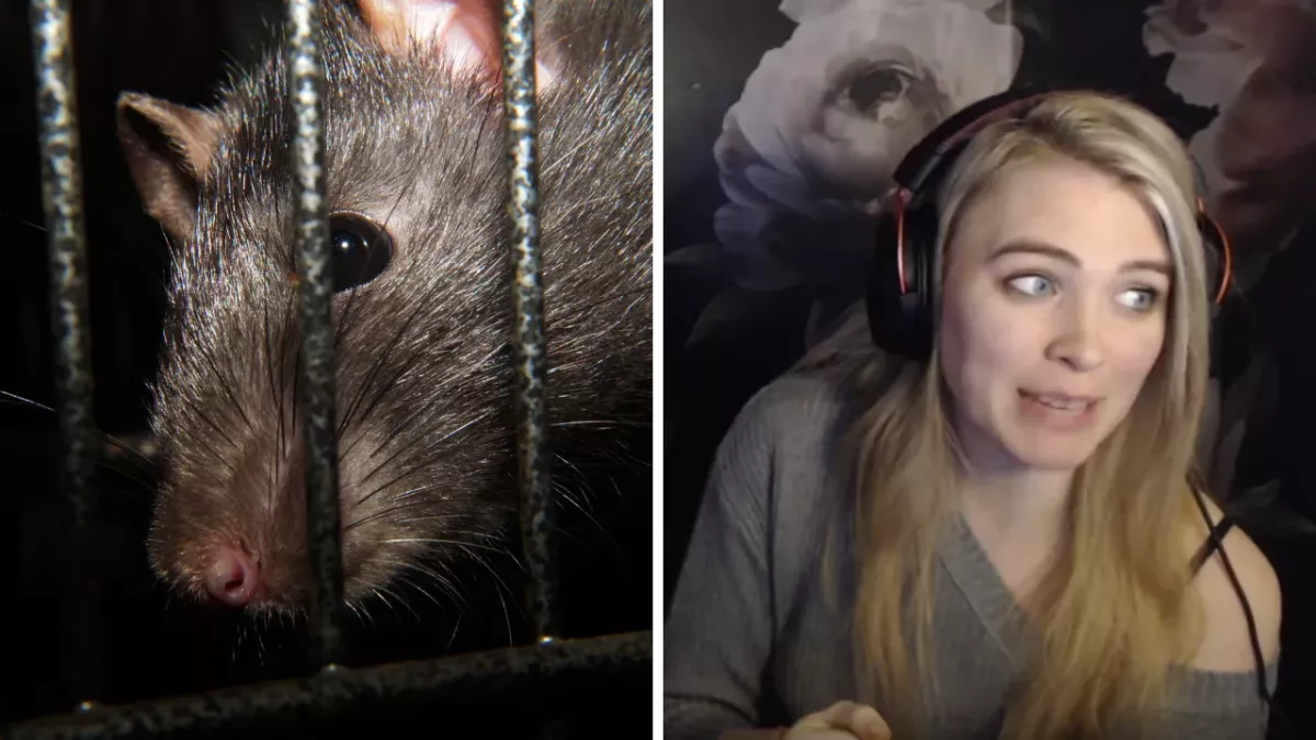 Cette streameuse de League of Legends se fait attaquer par un rat