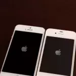 Default image