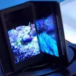 Default image