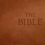 The Bible sur Steam