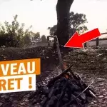 Default image