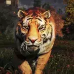 Default image