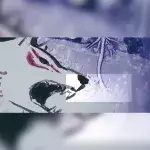 Default image