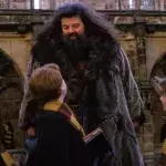 Hagrid dans Harry Potter