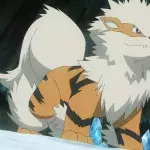 Liste Pokémon Chien