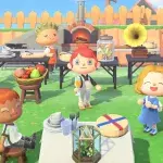 animal crossing switch 2