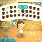 Comment avoir plein de tarentules dans Animal Crossing New Horizons ?