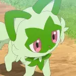 Pokémon chat