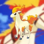 Pokémon Cheval