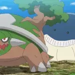 Pokémon tortues