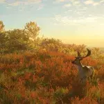 PS4 PS5 jeu en monde ouvert moins de 8 euros