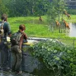 the last of us multijoueur online image