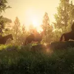 The Last of Us