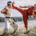 Street Fighter: Assassin's Fist