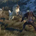 the witcher 3