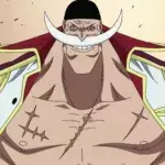 Barbe Blanche dans One Piece