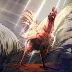 Coq de baston